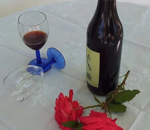 Apartmán Narkissos *